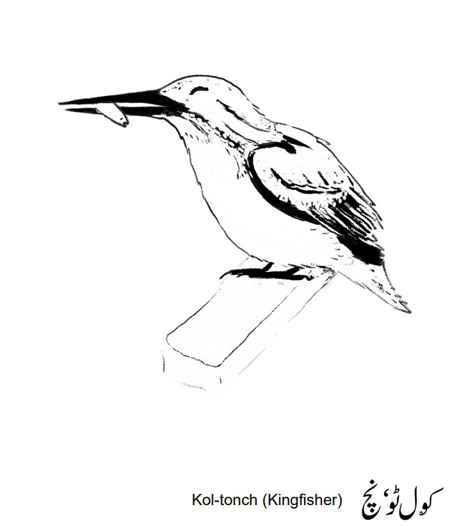 Colouring Sheets