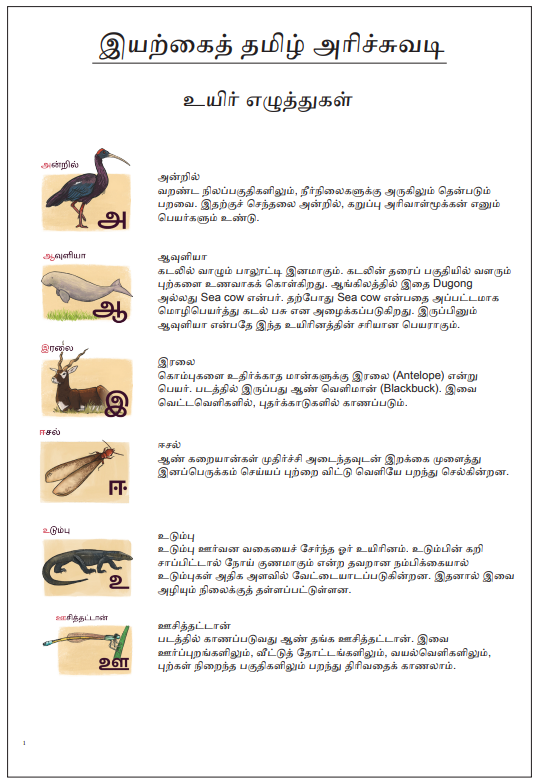 Explainer Document - Tamil Alphabet Chart
