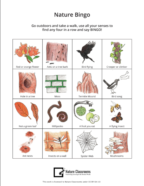 Nature Bingo