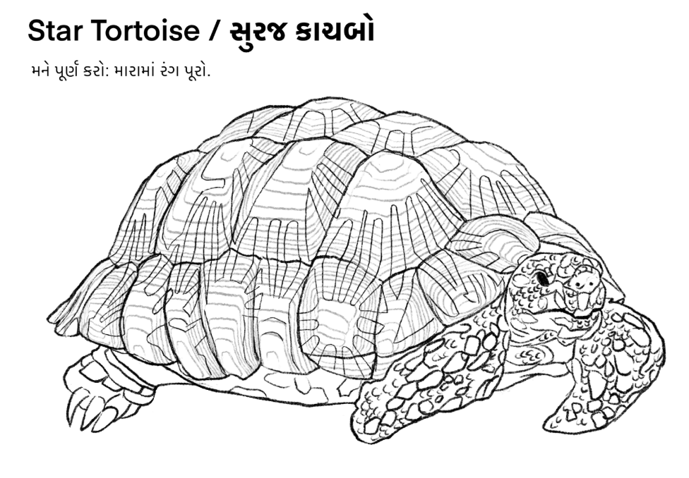 Activity Sheet 1