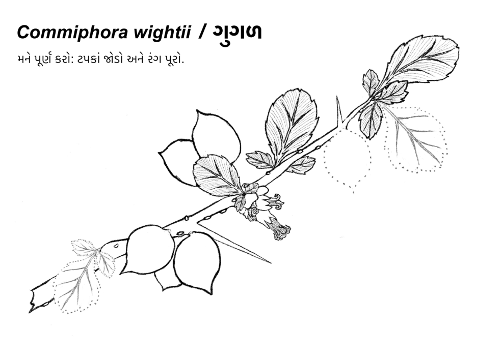 Activity Sheet 2
