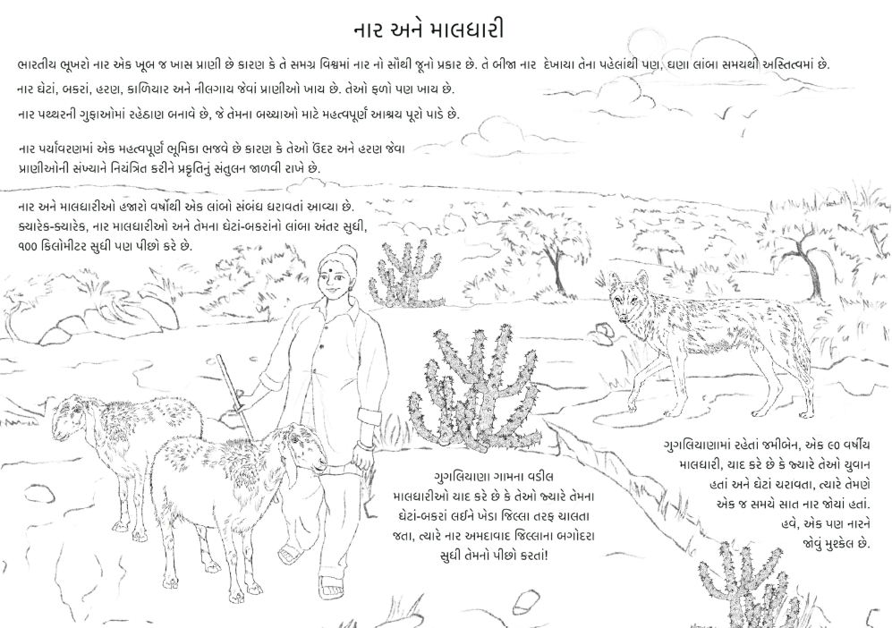 Activity Sheet 3