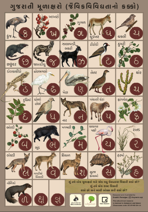 Gujarati Alphabet Chart