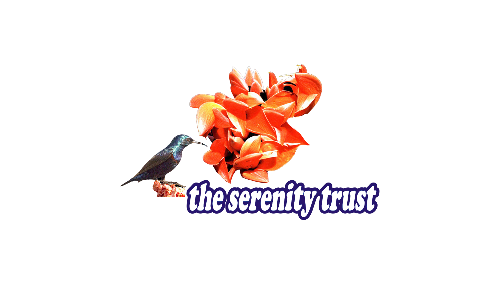 The serenity trust