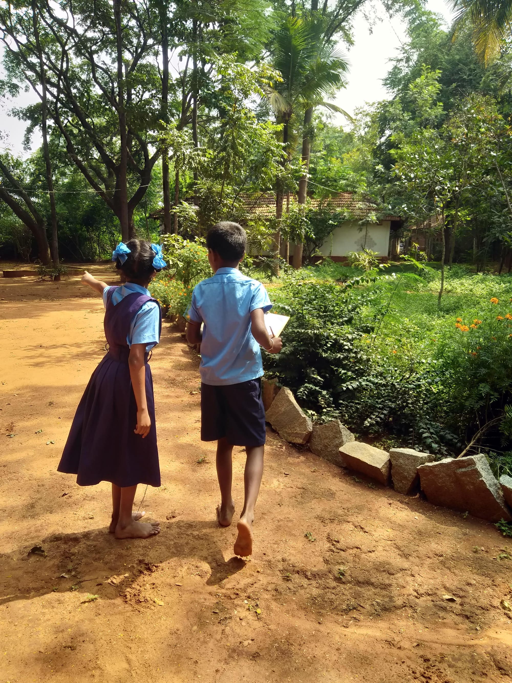 The Suttha Muttha Project in Bengaluru is introducing children to the local biodiversity. Here's how. (EdexLive)